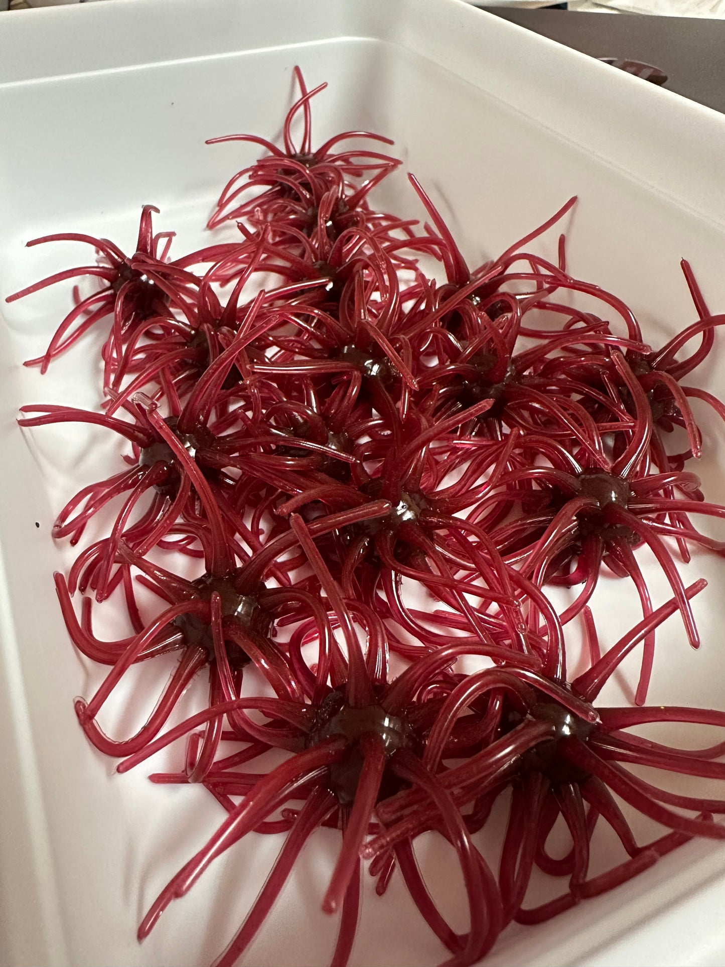3.25” Pinheads