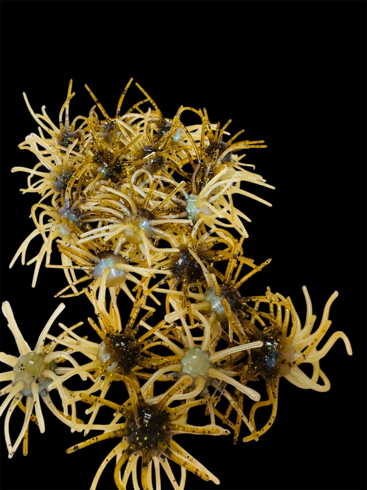 3.25” Pinheads