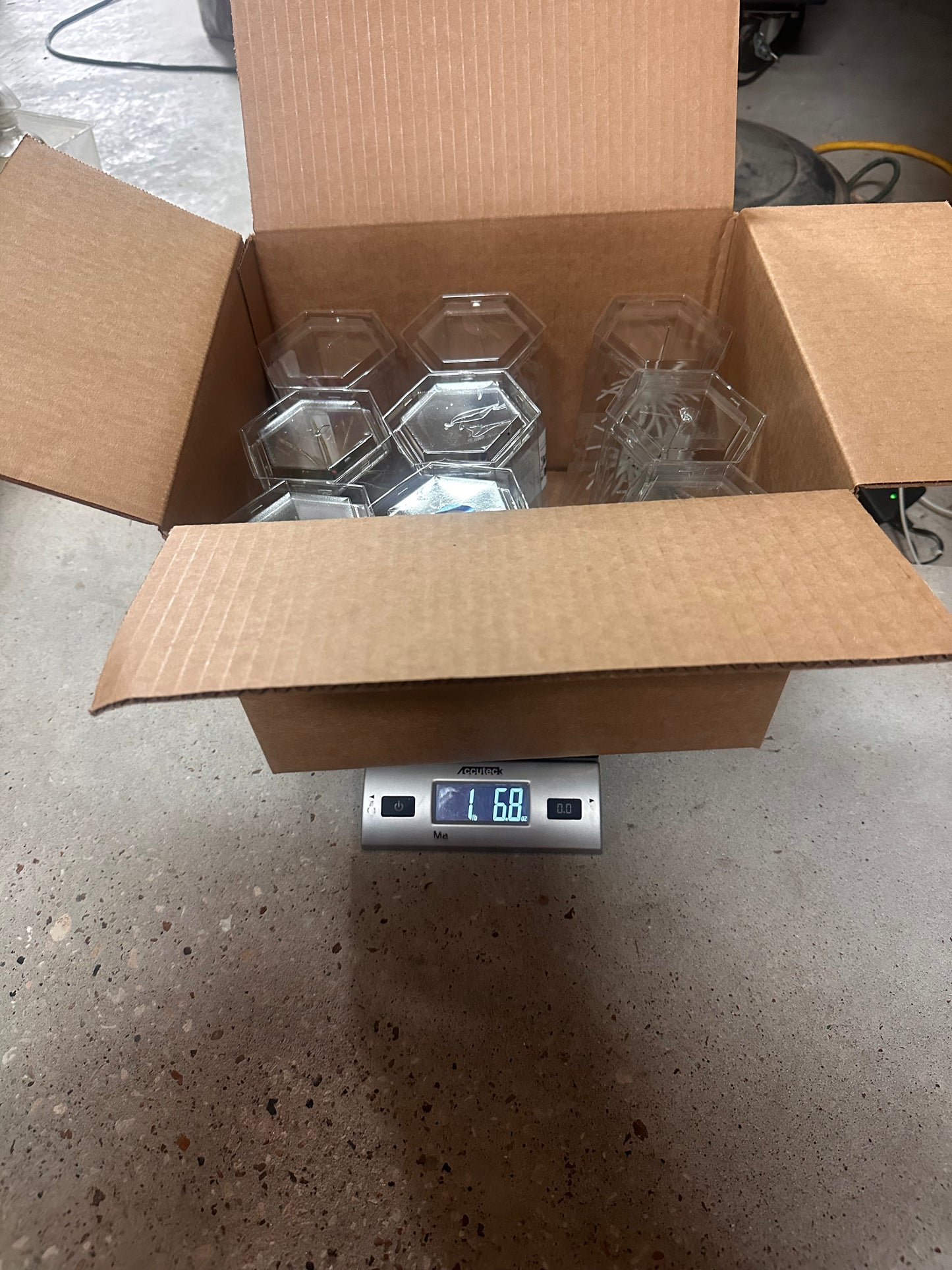 6/17/26 Urchin Auction